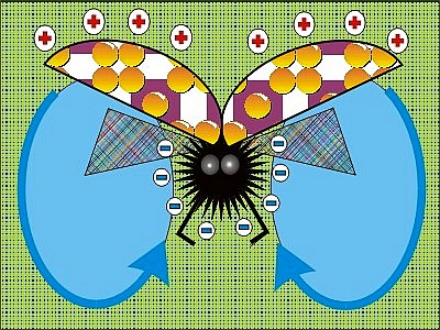 ins.jpg (70745 bytes)